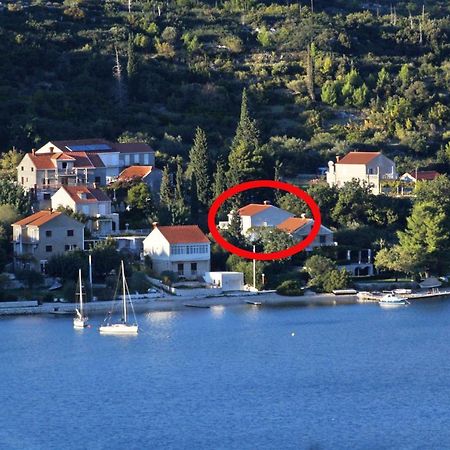 Apartments By The Sea Slano, Dubrovnik - 8599 エクステリア 写真